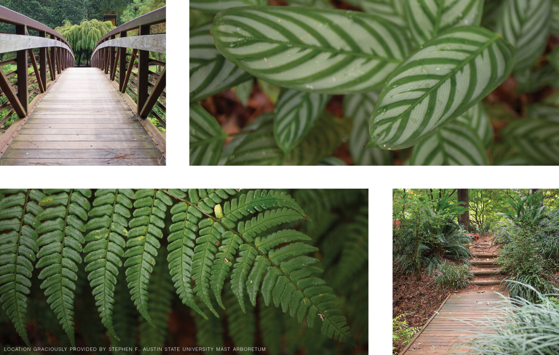 Local Gardens